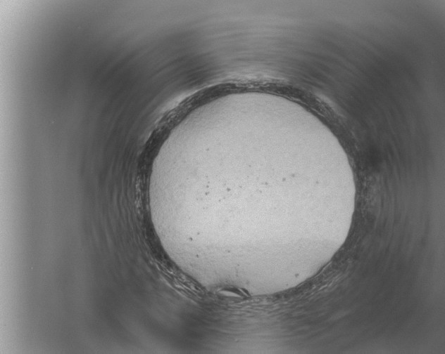 X0000058761016200510281912