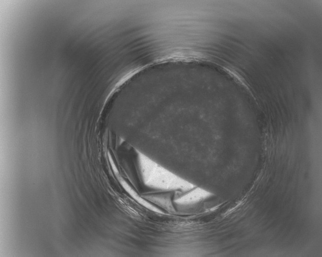 X0000058761018200510281912