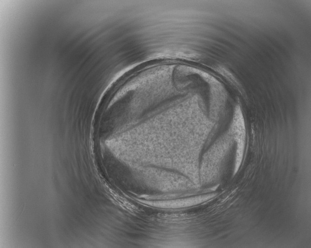 X0000058761020200510281912