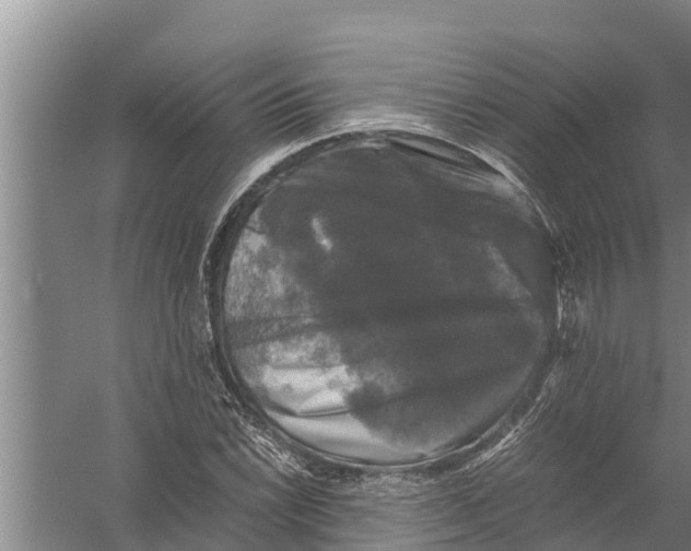 X0000058761022200510281912