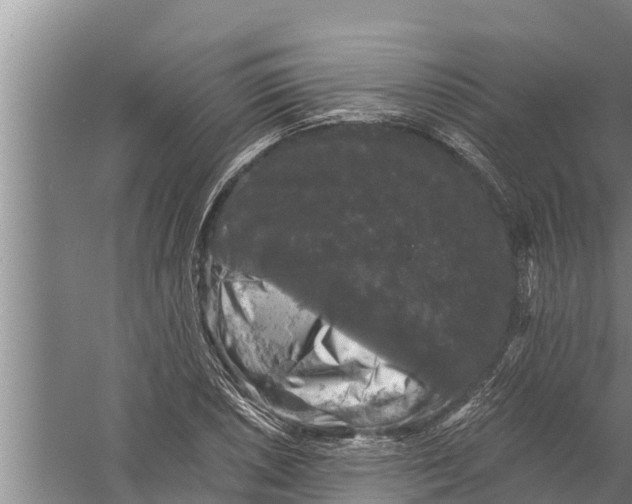 X0000058761026200510281912