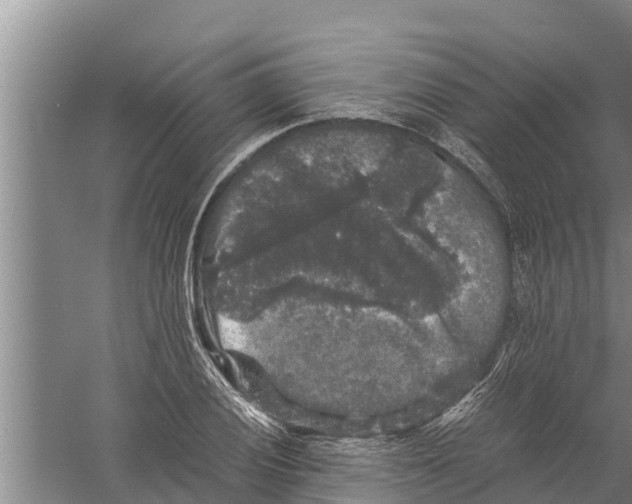 X0000058761028200510281912