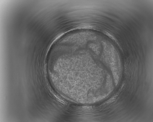 X0000058761029200510281912