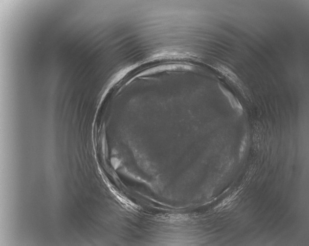 X0000058761030200510281912