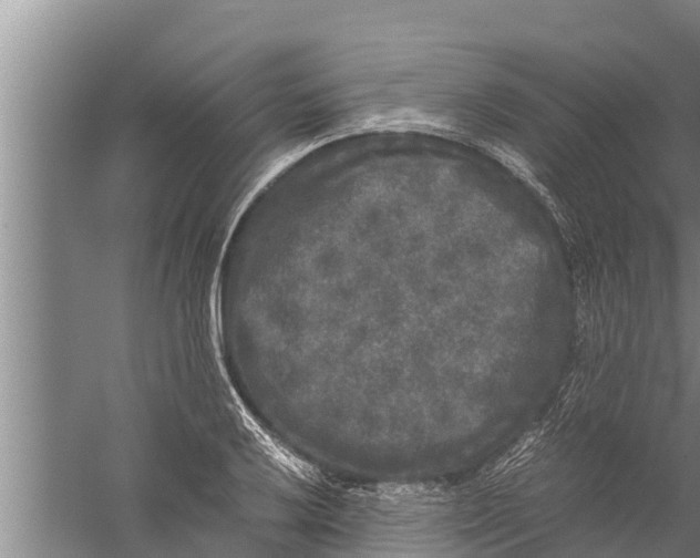 X0000058761032200510281912