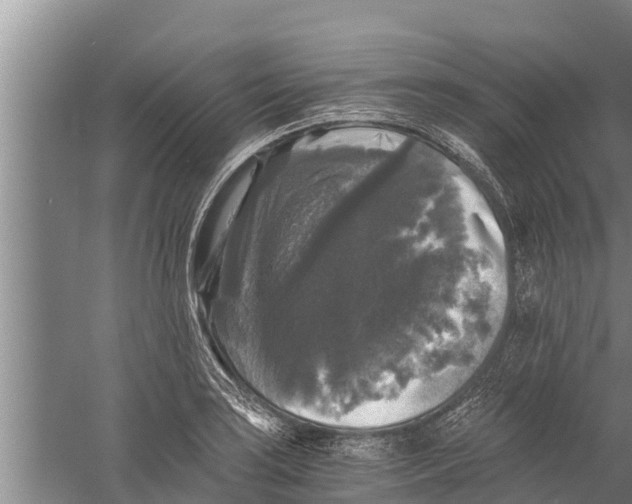 X0000058761035200510281912