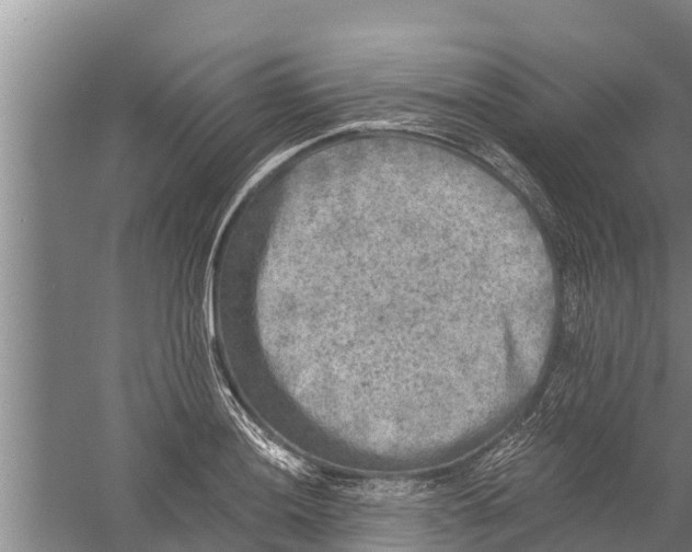 X0000058761036200510281912