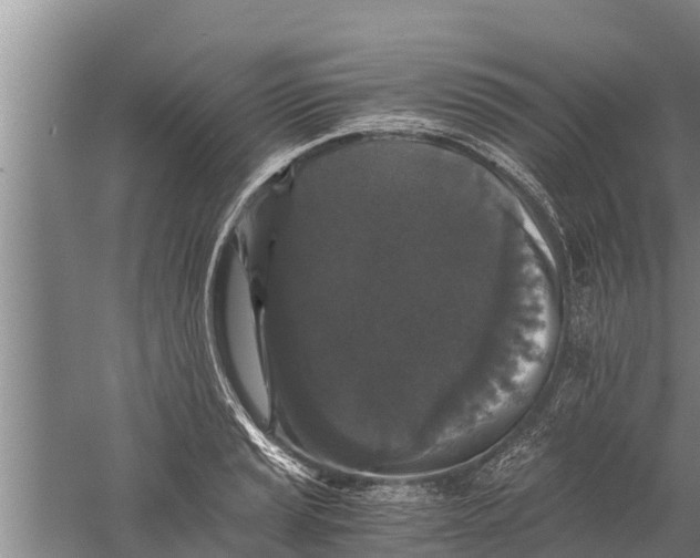 X0000058761037200510281912