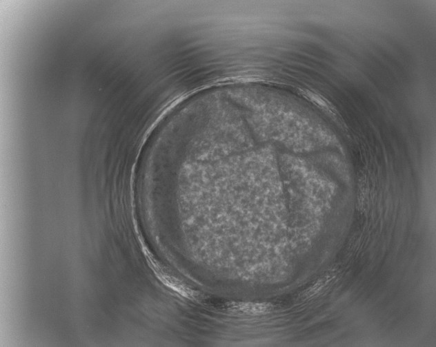 X0000058761039200510281913