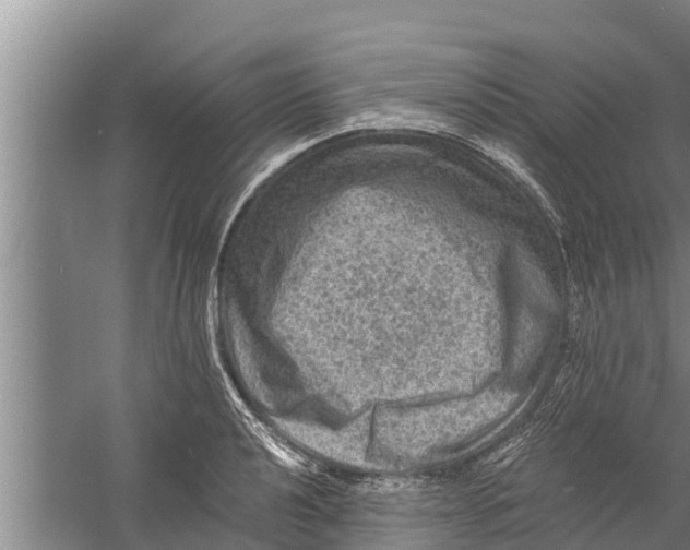 X0000058761040200510281913