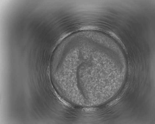 X0000058761041200510281913