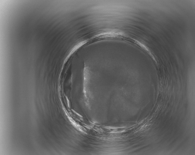 X0000058761042200510281913