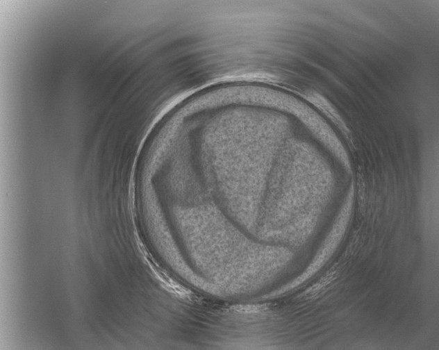 X0000058761044200510281913