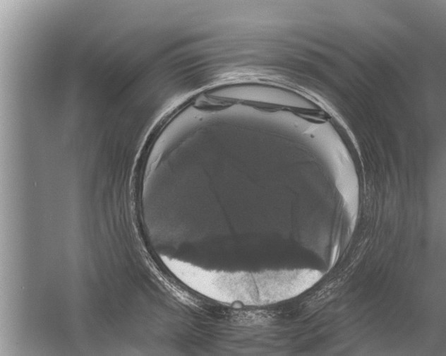 X0000058761045200510281913