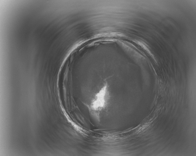 X0000058761046200510281913