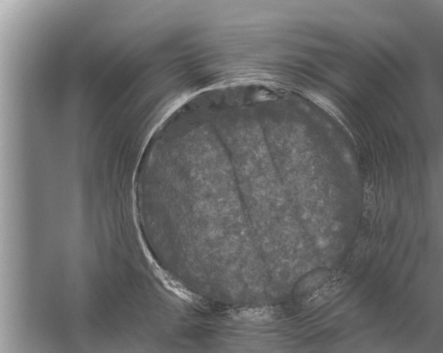 X0000058761047200510281913