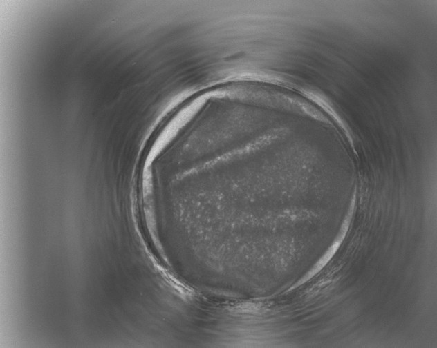 X0000058761048200510281913