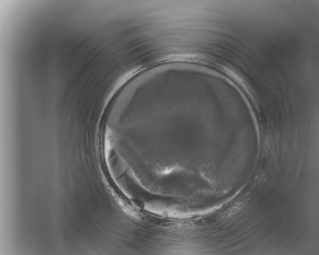 X0000058761050200510281913