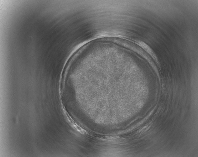 X0000058761052200510281913