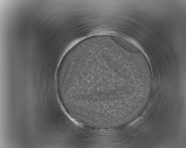 X0000058761053200510281913