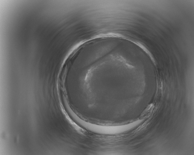 X0000058761054200510281913