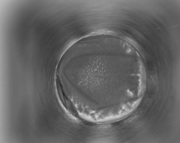 X0000058761055200510281913