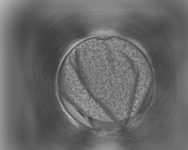 X0000058761056200510281913