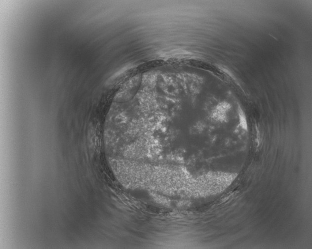 X0000058761063200510281912