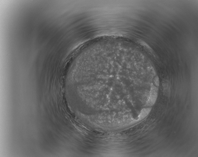 X0000058761064200510281912