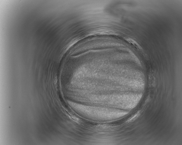 X0000058761065200510281912