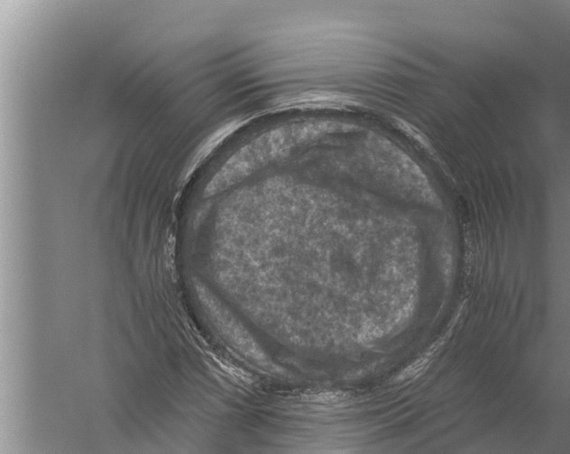 X0000058761066200510281912