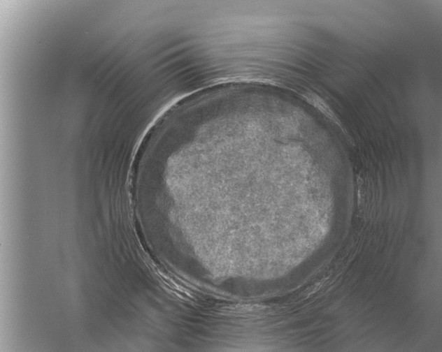 X0000058761068200510281912