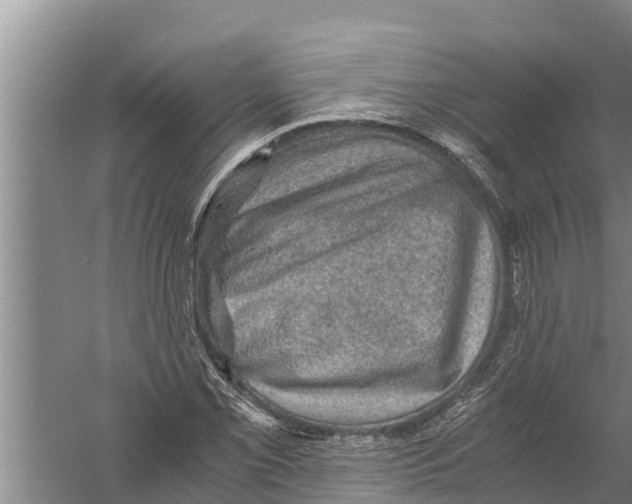 X0000058761069200510281912