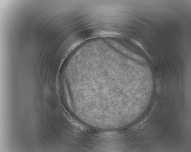 X0000058761074200510281912