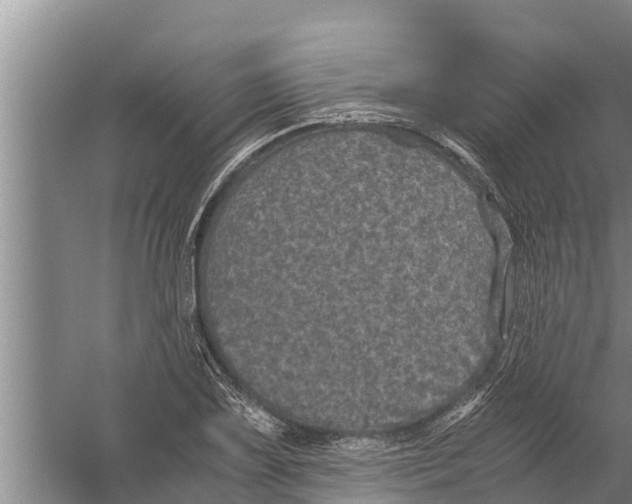 X0000058761075200510281912