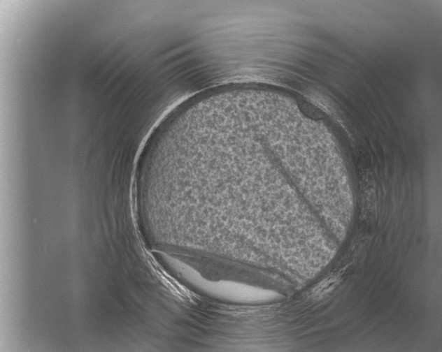 X0000058761076200510281912