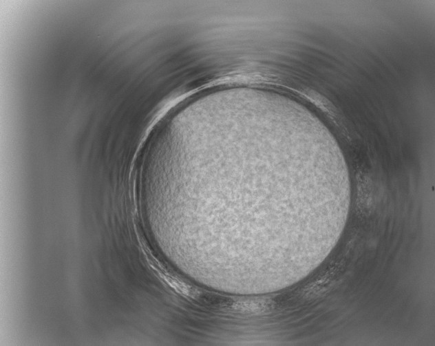 X0000058761078200510281912