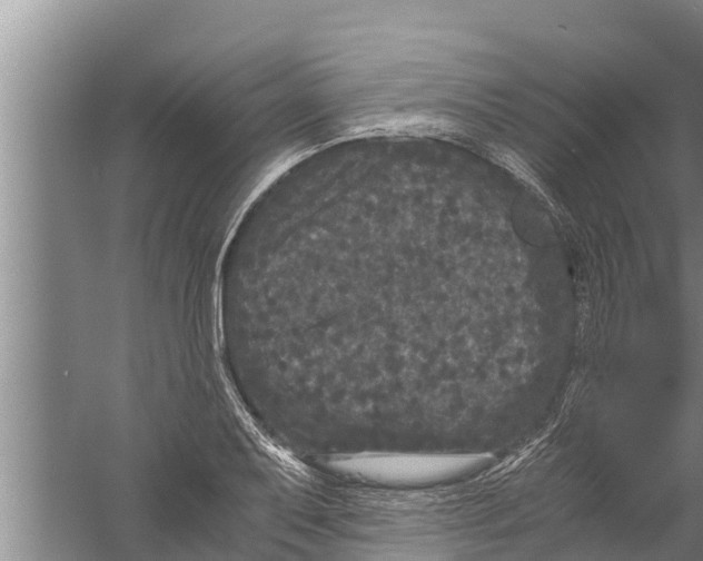 X0000058761079200510281912