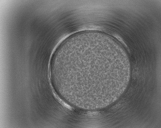 X0000058761080200510281912