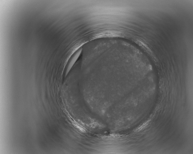 X0000058761081200510281912