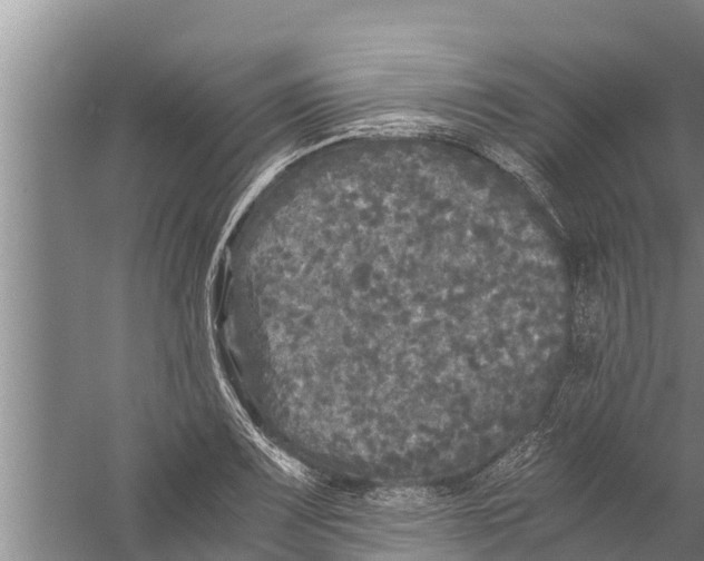 X0000058761083200510281912