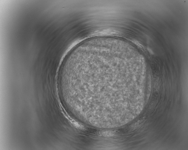 X0000058761086200510281911