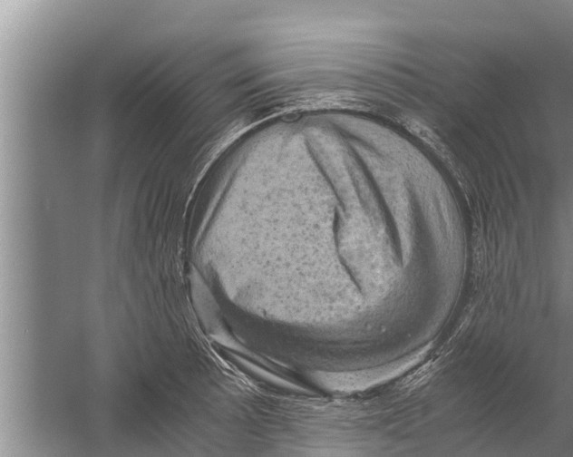 X0000058761089200510281911