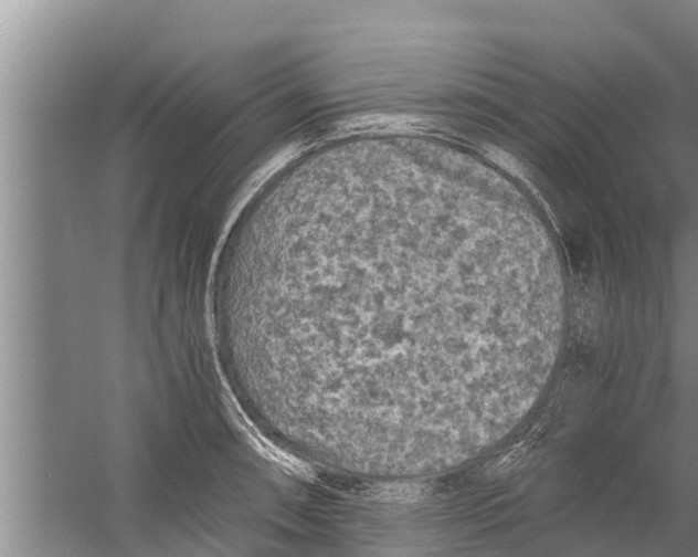 X0000058761090200510281911