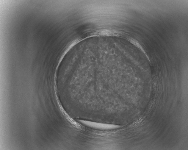 X0000058761091200510281911