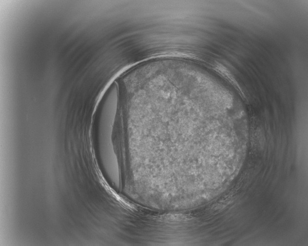 X0000058761092200510281911