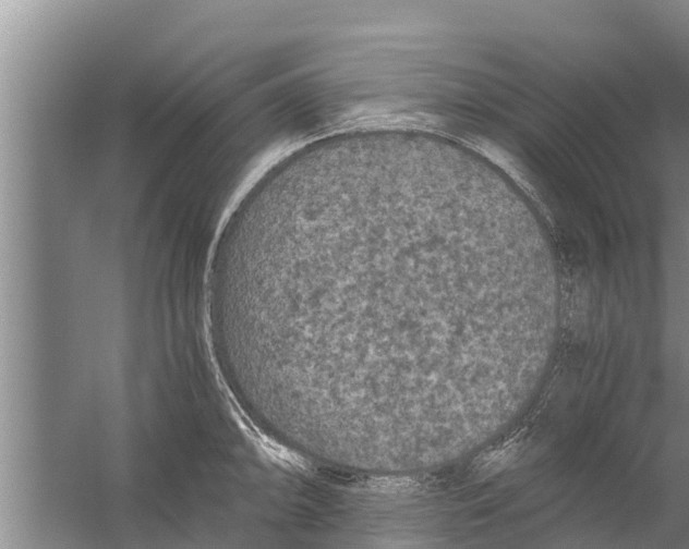 X0000058761094200510281911