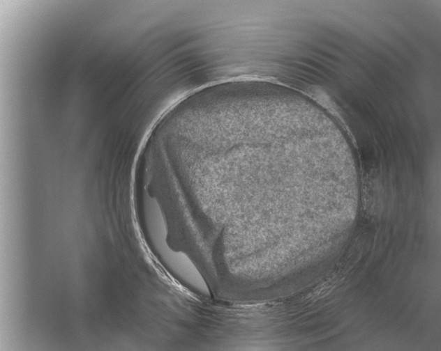 X0000058761096200510281911