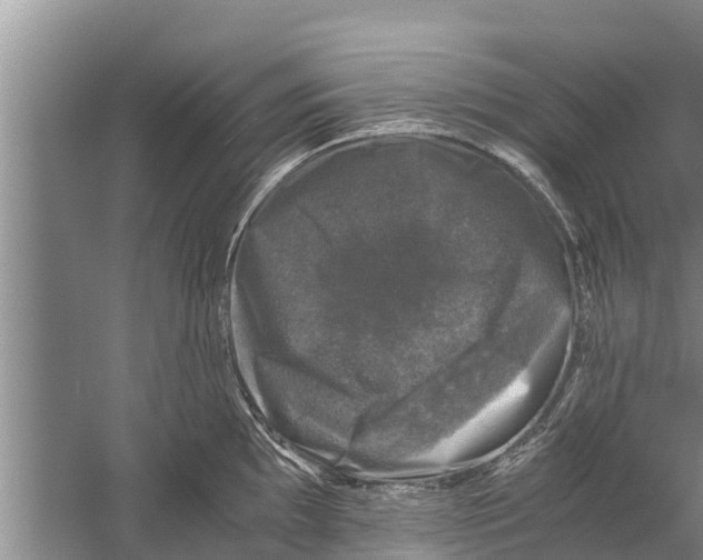 X0000058761097200510281911