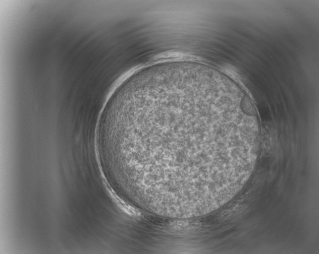 X0000058761098200510281911